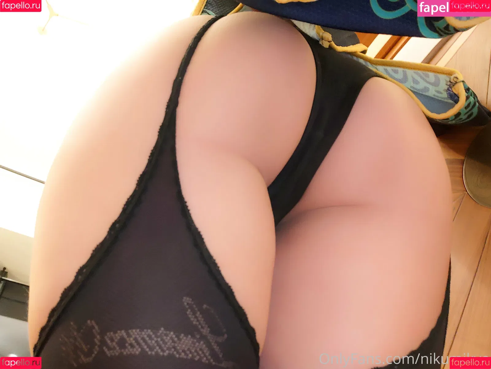Nikumikyo Onlyfans Photo Gallery 