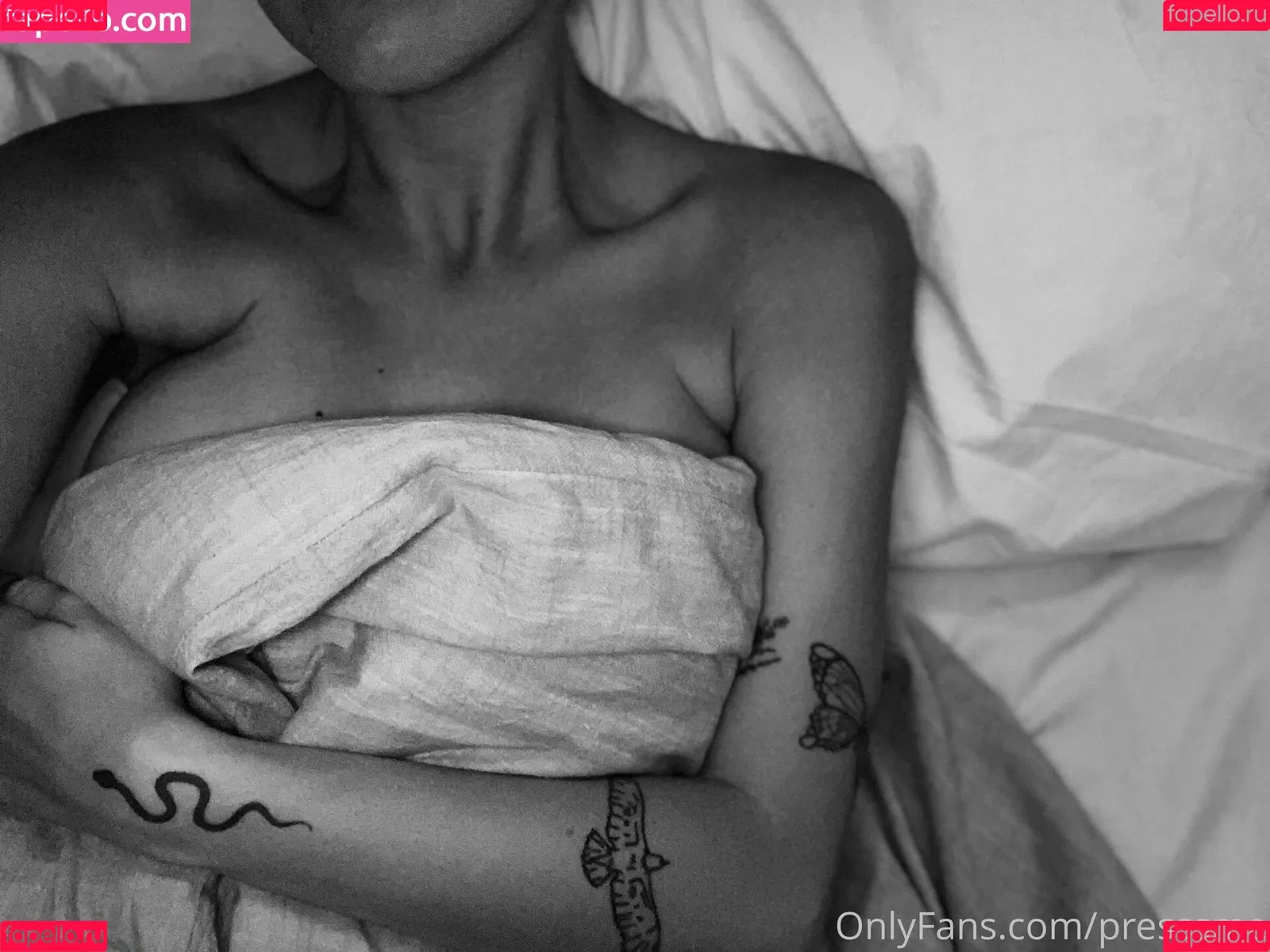 presssme Onlyfans Photo Gallery 