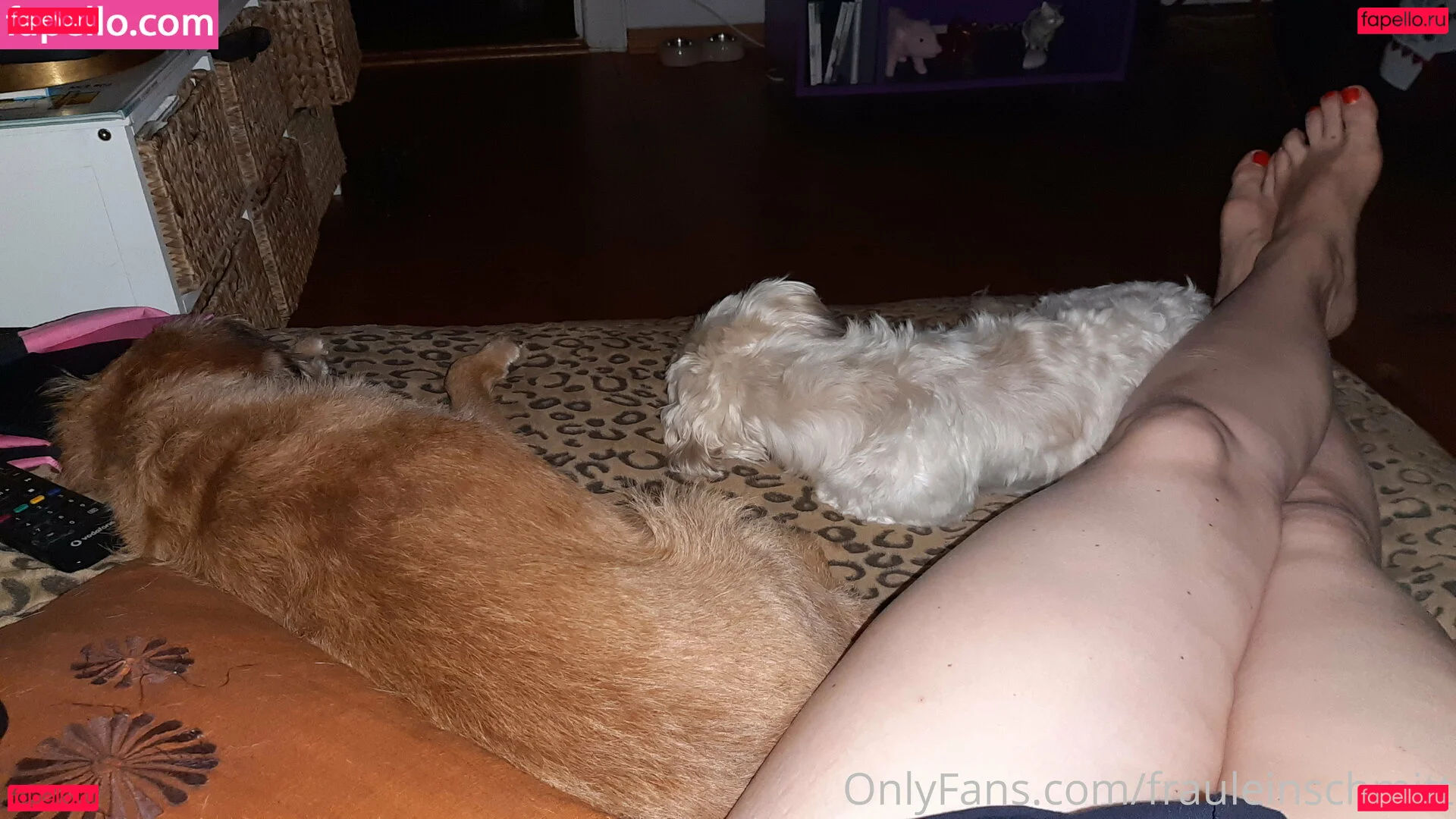 frauleinschmittfree Onlyfans Photo Gallery 