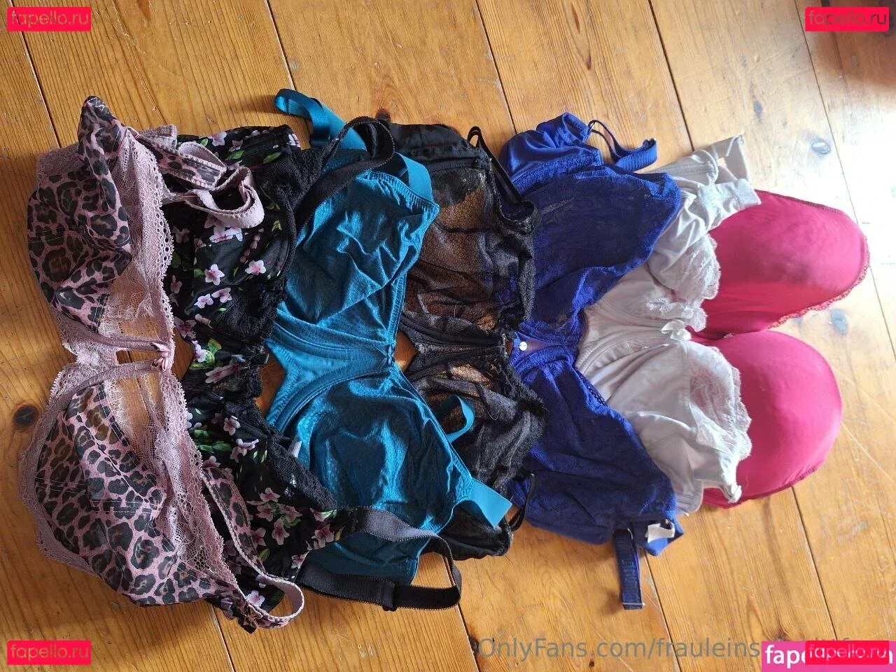 frauleinschmittfree Onlyfans Photo Gallery 