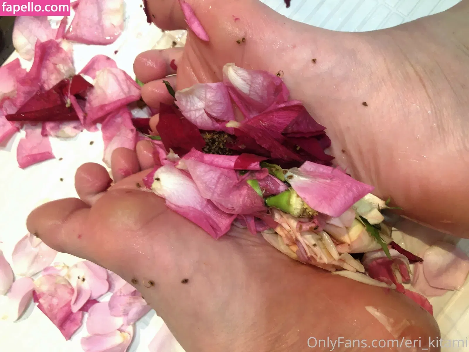 Eri Kitami Onlyfans Photo Gallery 