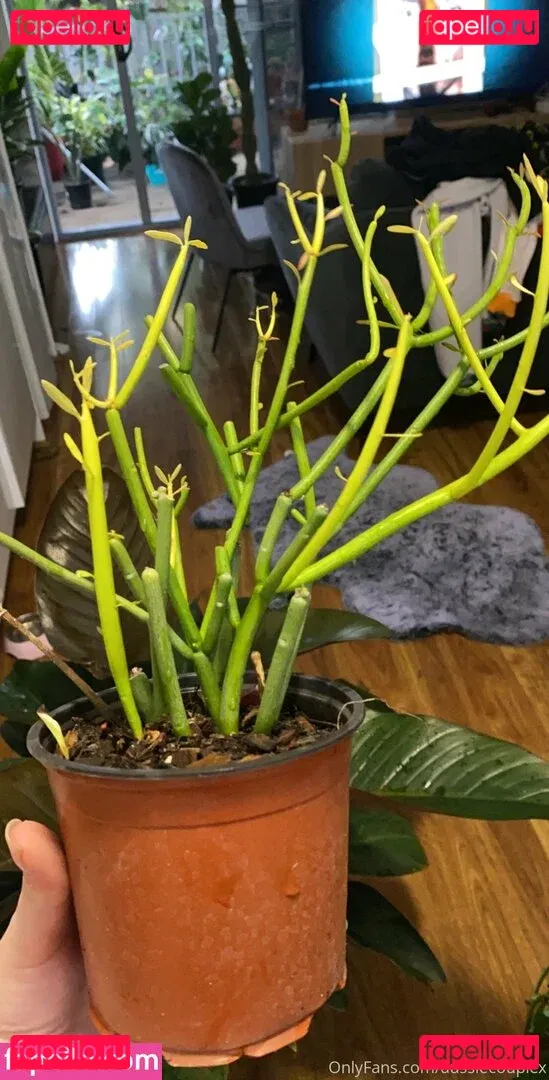 uncutsextapes Onlyfans Photo Gallery 