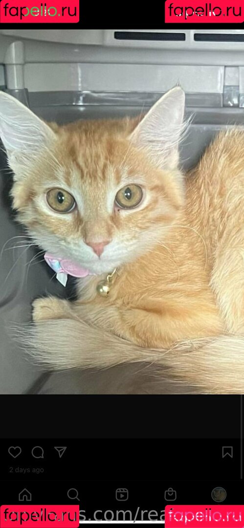 realkeelyrose Onlyfans Photo Gallery 