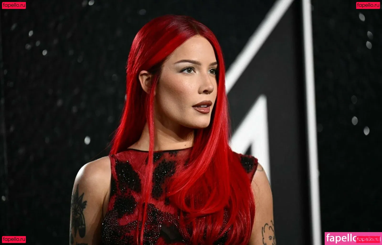 Halsey Onlyfans Photo Gallery 