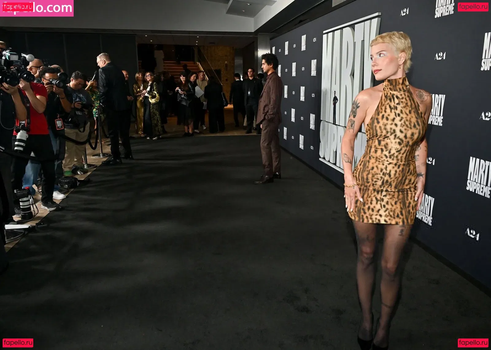 Halsey Onlyfans Photo Gallery 