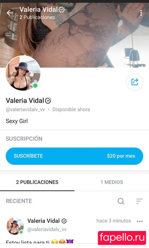 Valeria Vidal Onlyfans Photo Gallery 