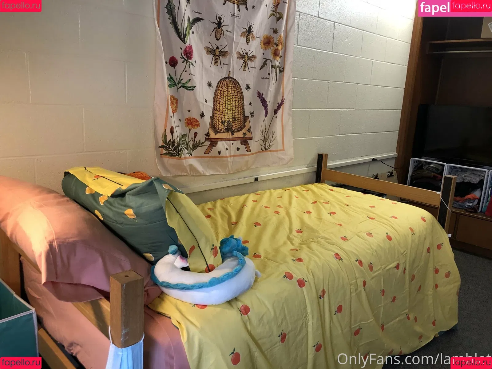 lamblet Onlyfans Photo Gallery 