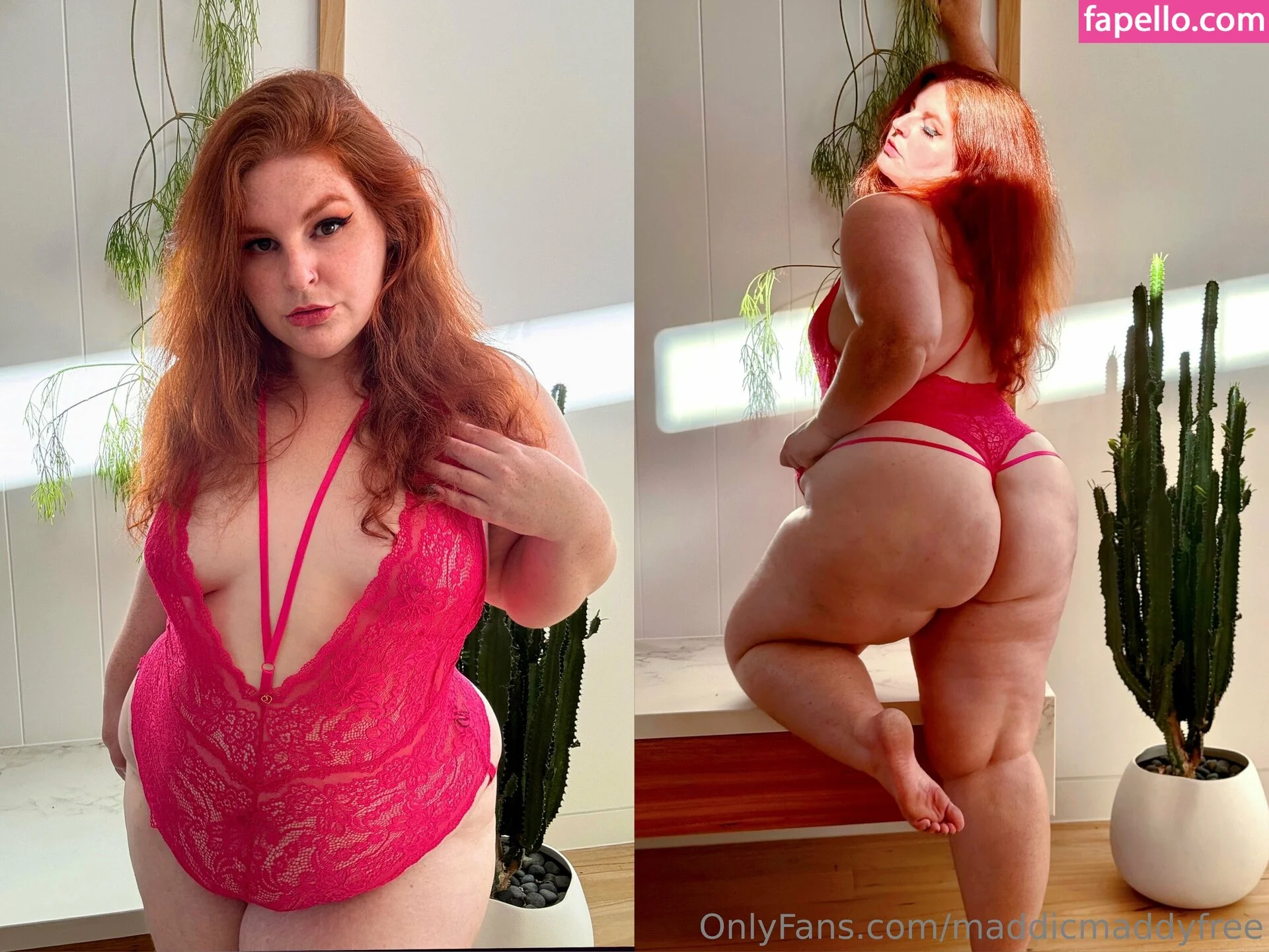 maddicmaddyfree Onlyfans Photo Gallery 
