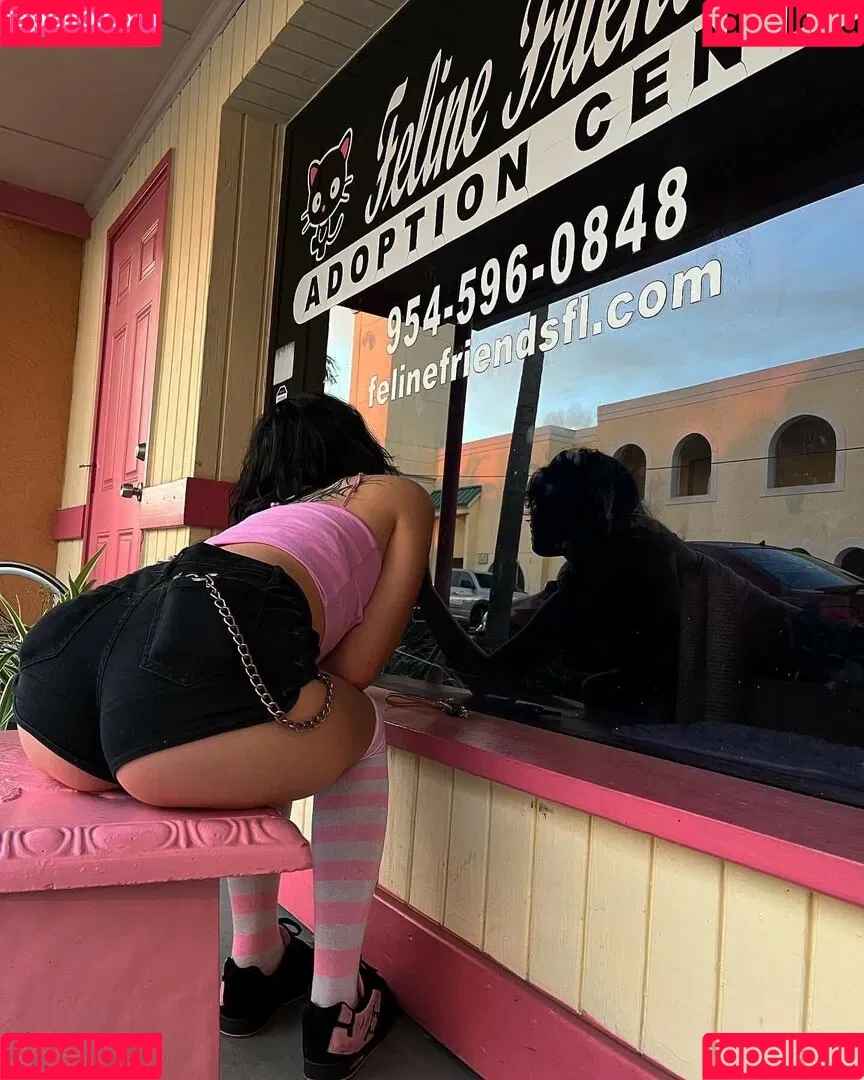 vampir3kitt3n Onlyfans Photo Gallery 