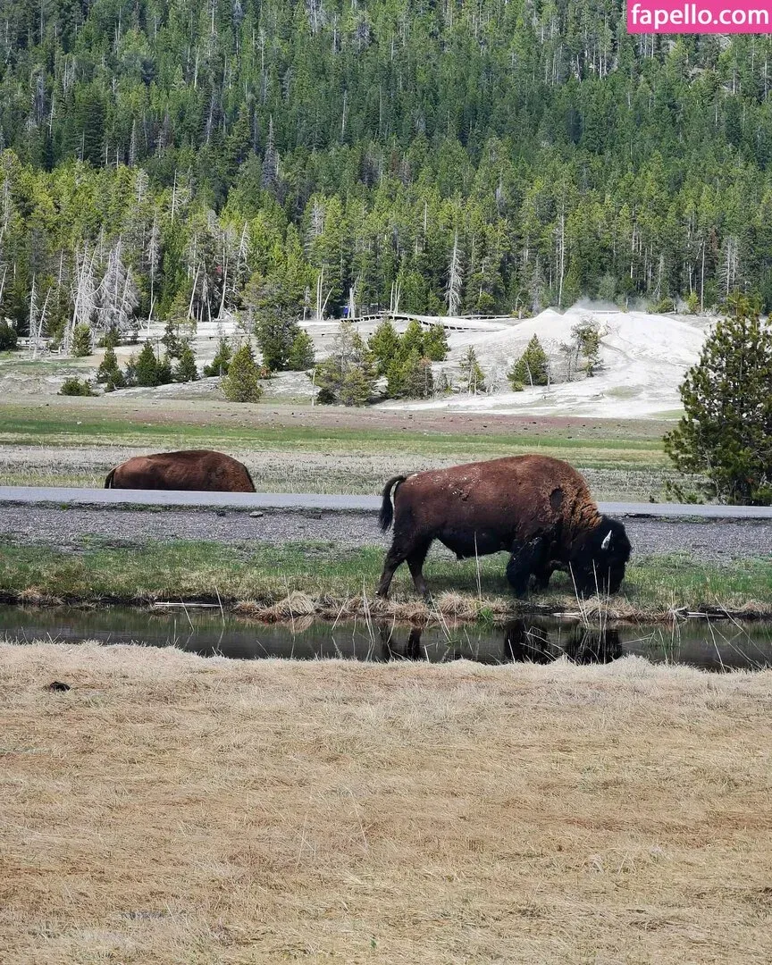 Irena Meier Onlyfans Photo Gallery 