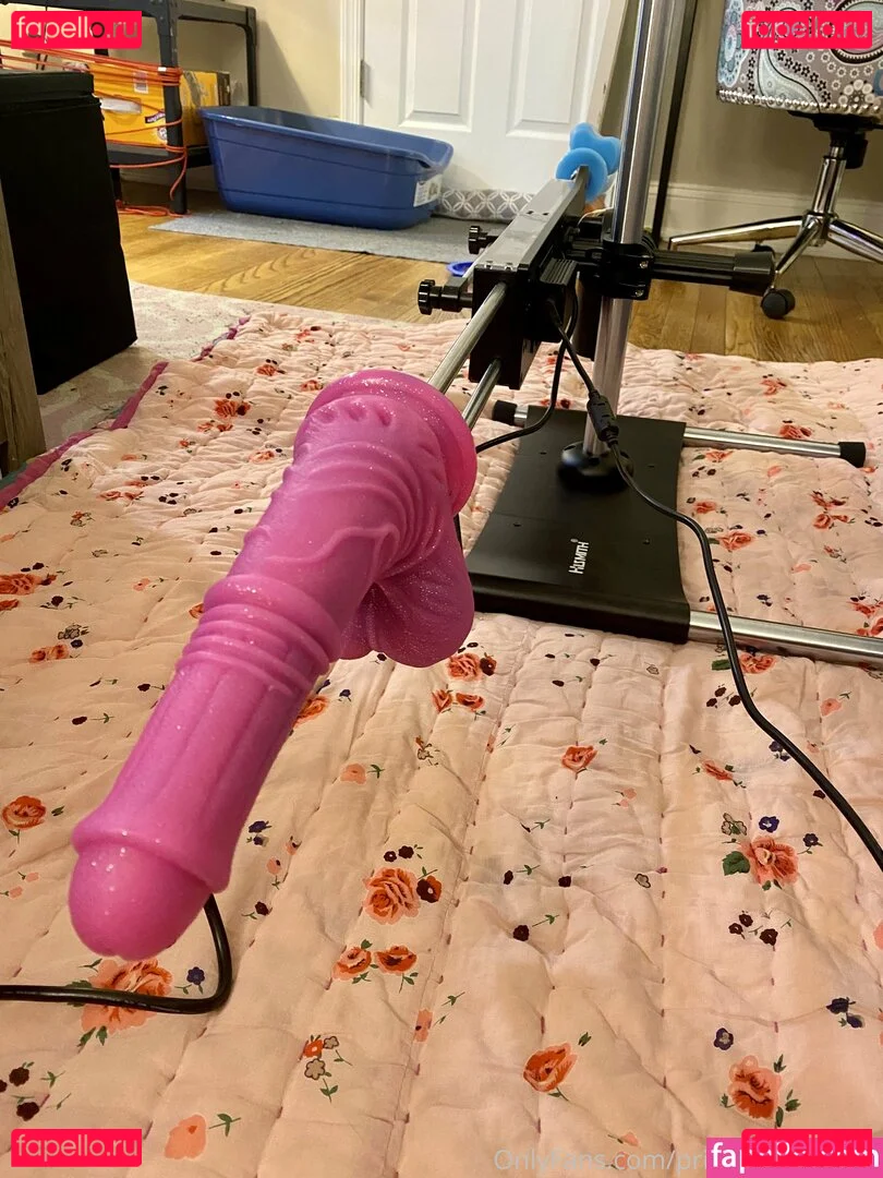 princessbibblyfree Onlyfans Photo Gallery 