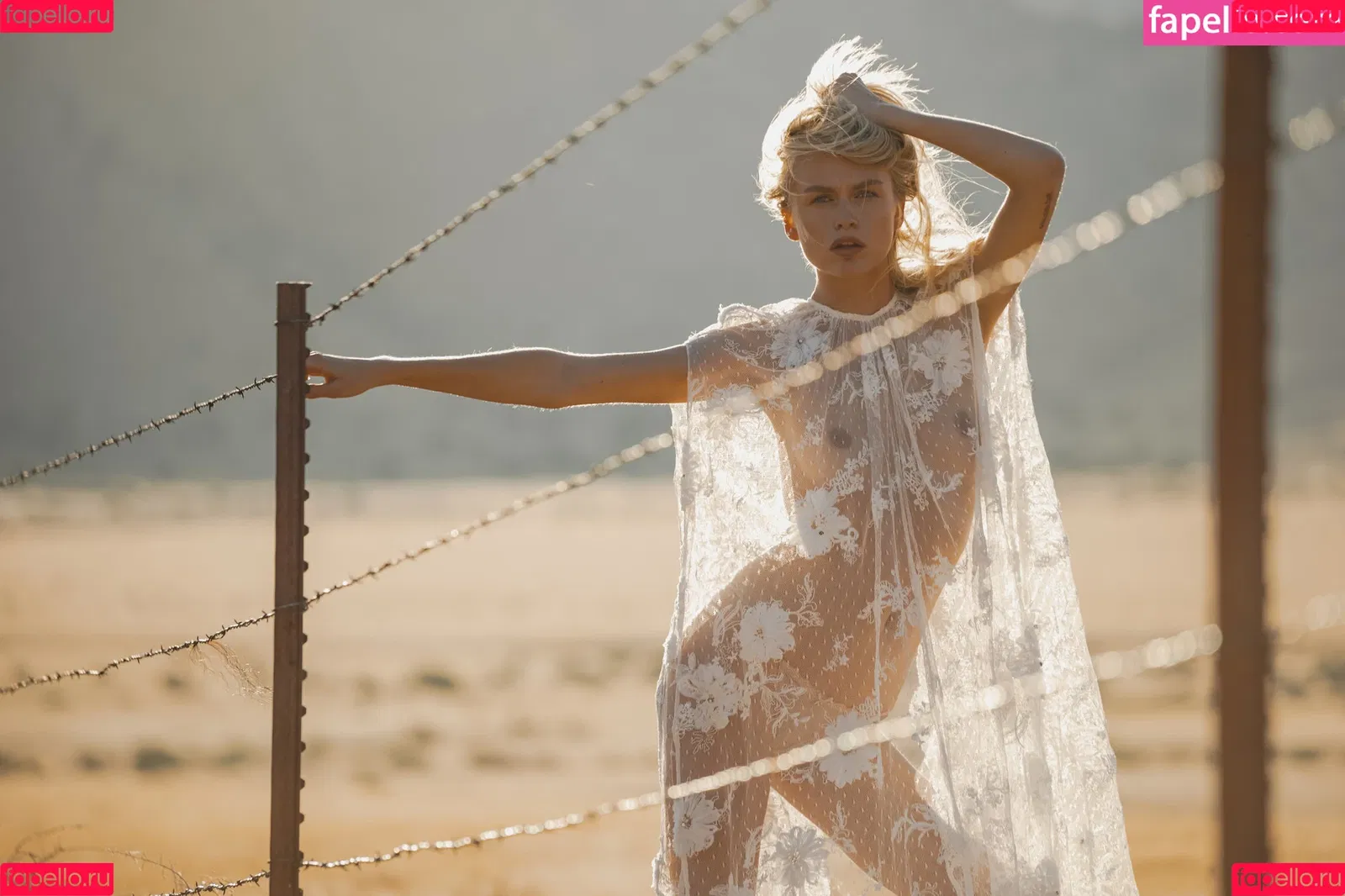 Kesler Tran Onlyfans Photo Gallery 