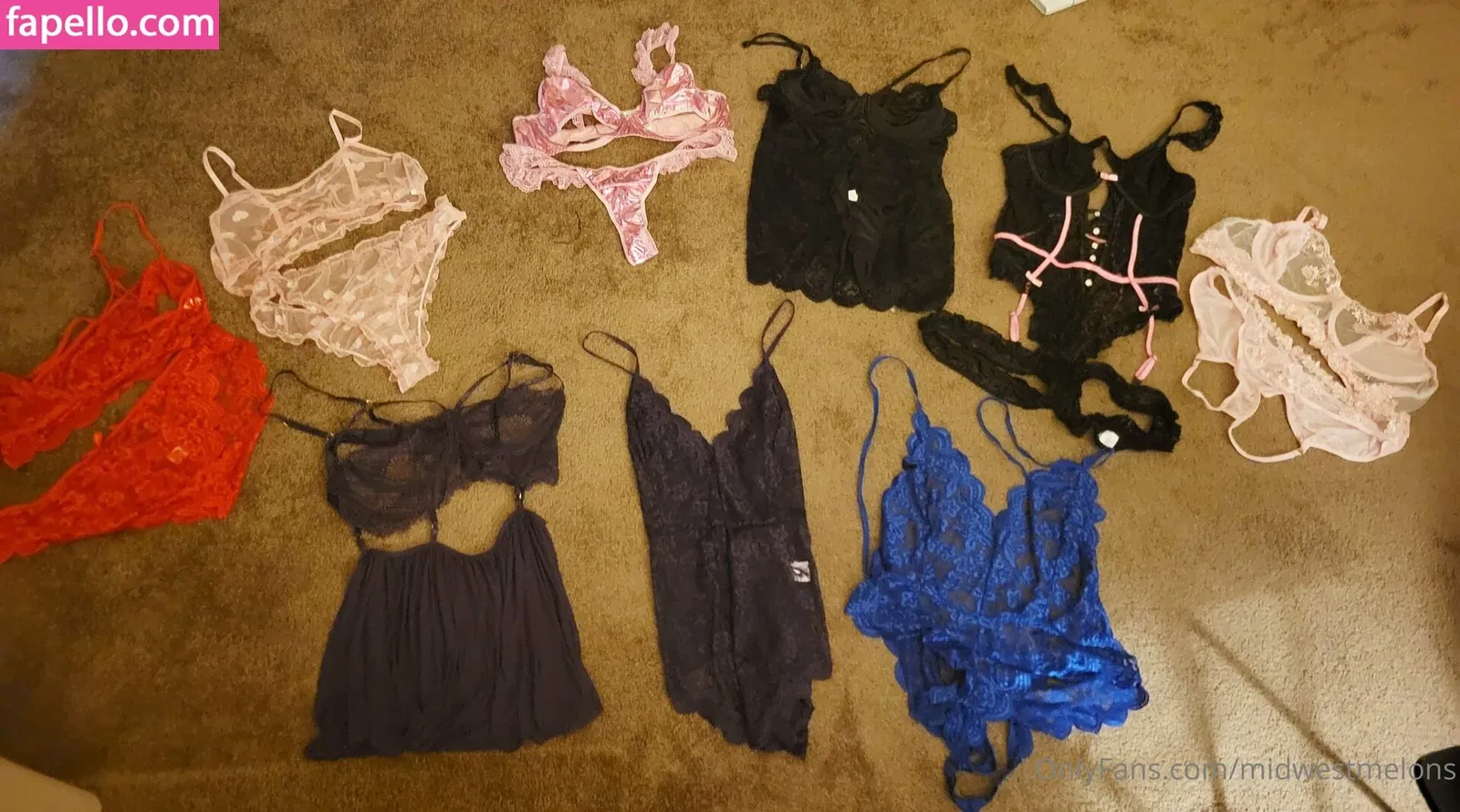 midwestmelons Onlyfans Photo Gallery 