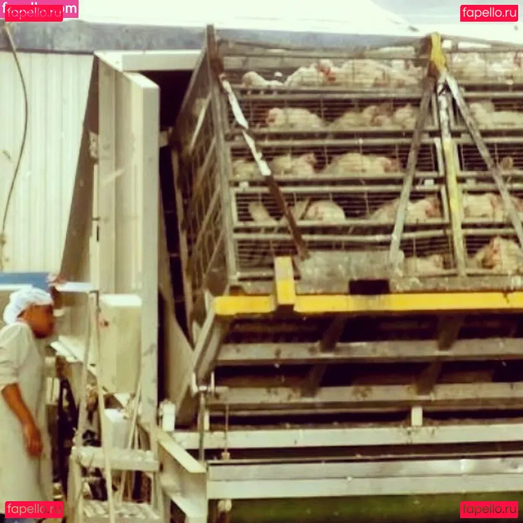 Hadar Ben Haim Onlyfans Photo Gallery 