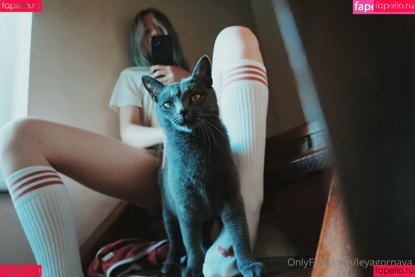 LeyaGornaya Onlyfans Photo Gallery 