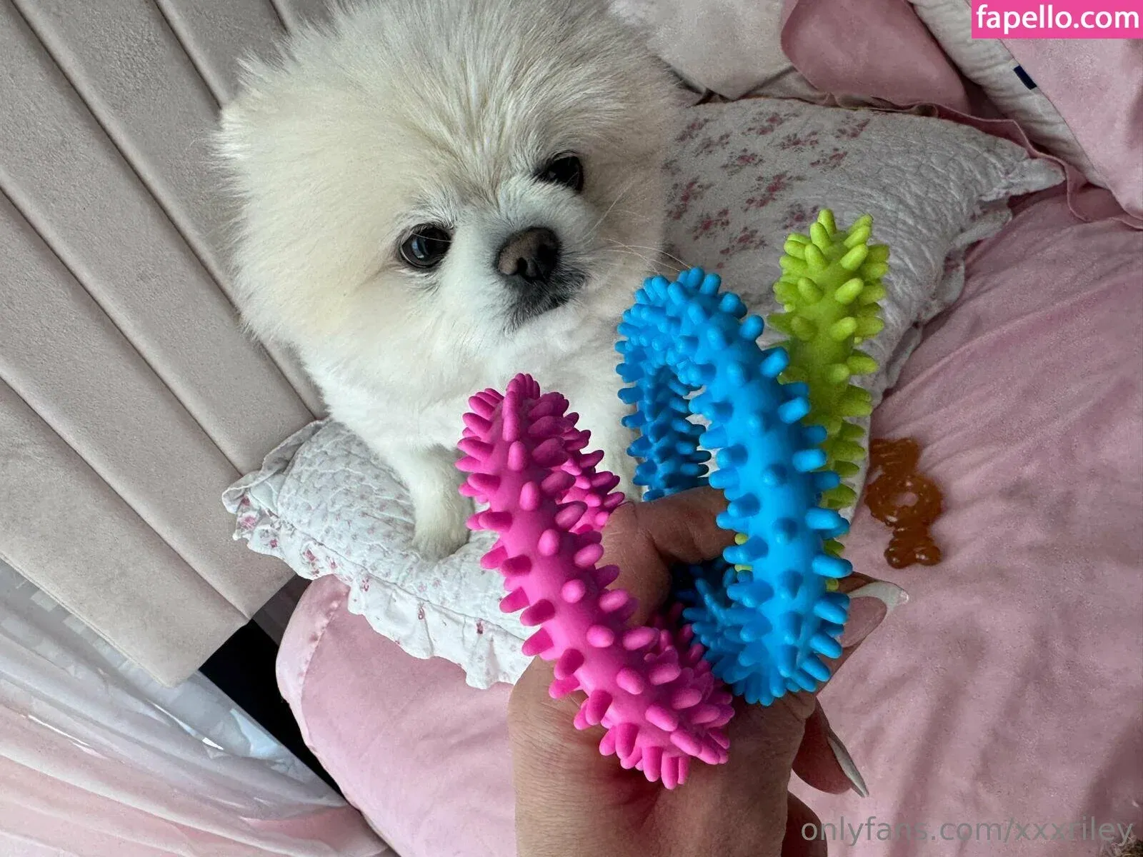 xxxriley Onlyfans Photo Gallery 