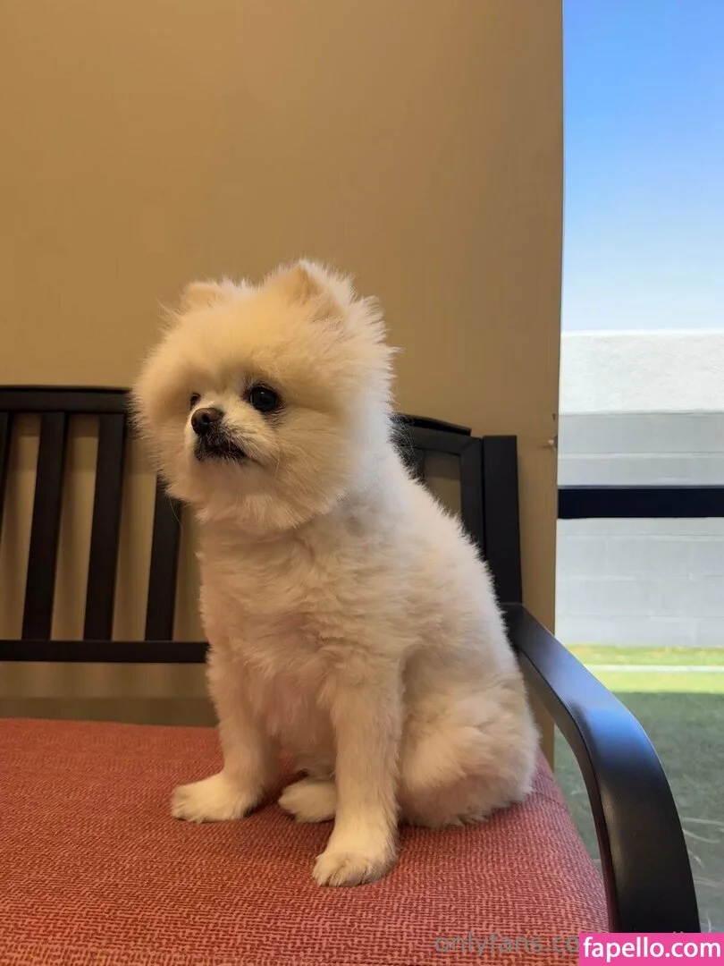 xxxriley Onlyfans Photo Gallery 