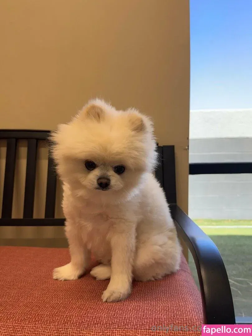 xxxriley Onlyfans Photo Gallery 