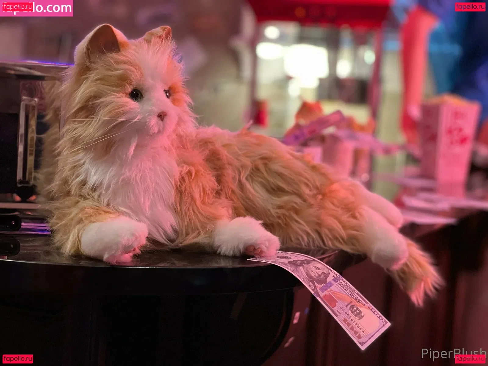 piperblushfree Onlyfans Photo Gallery 