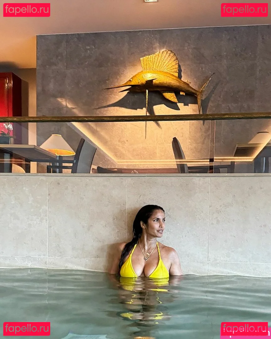 Padma Lakshmi Onlyfans Photo Gallery 
