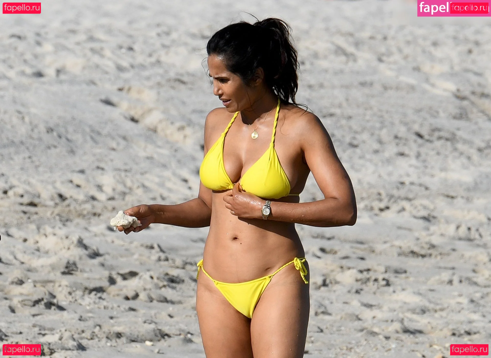 Padma Lakshmi Onlyfans Photo Gallery 