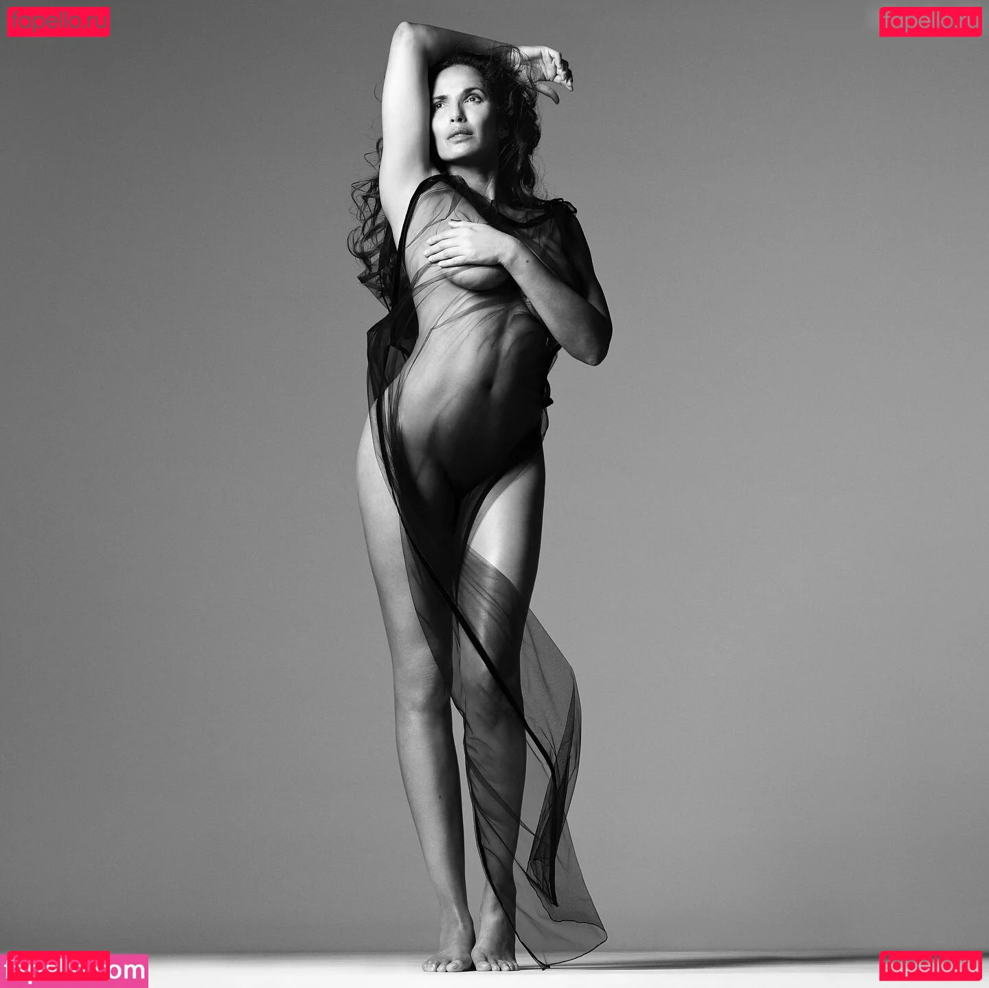 Padma Lakshmi Onlyfans Photo Gallery 