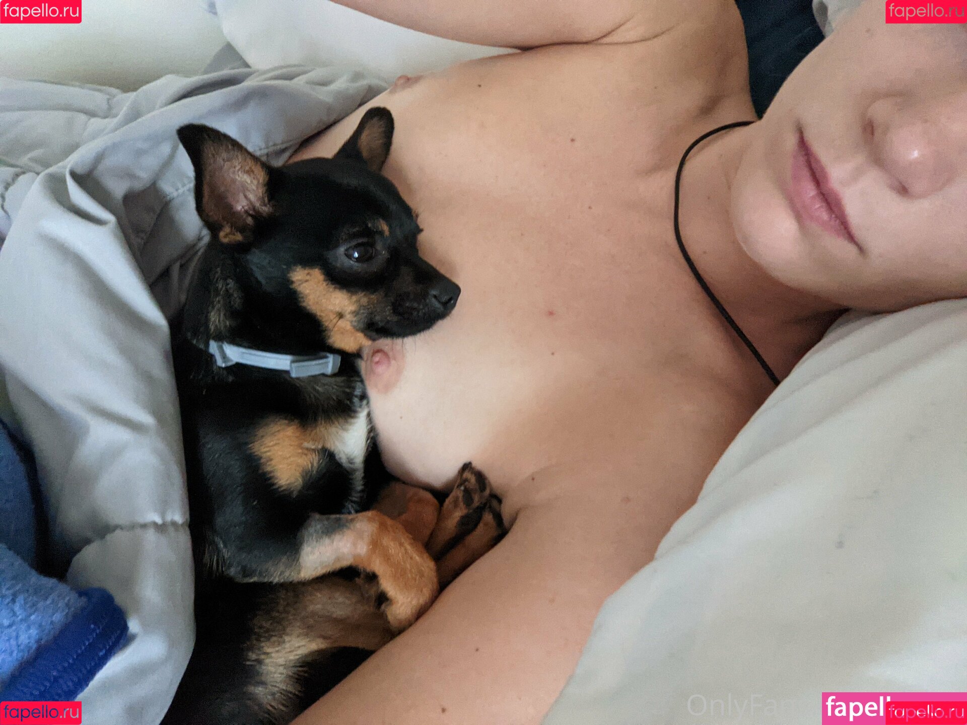 giahill Onlyfans Photo Gallery 