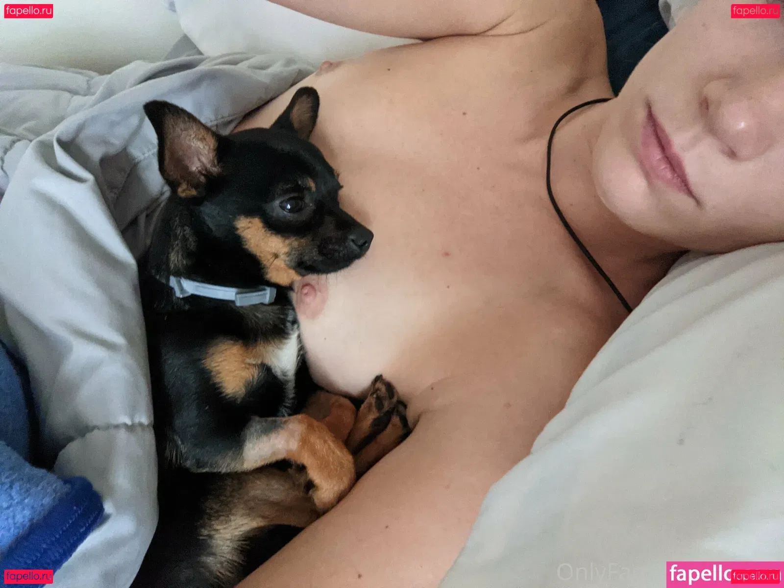 giahill Onlyfans Photo Gallery 