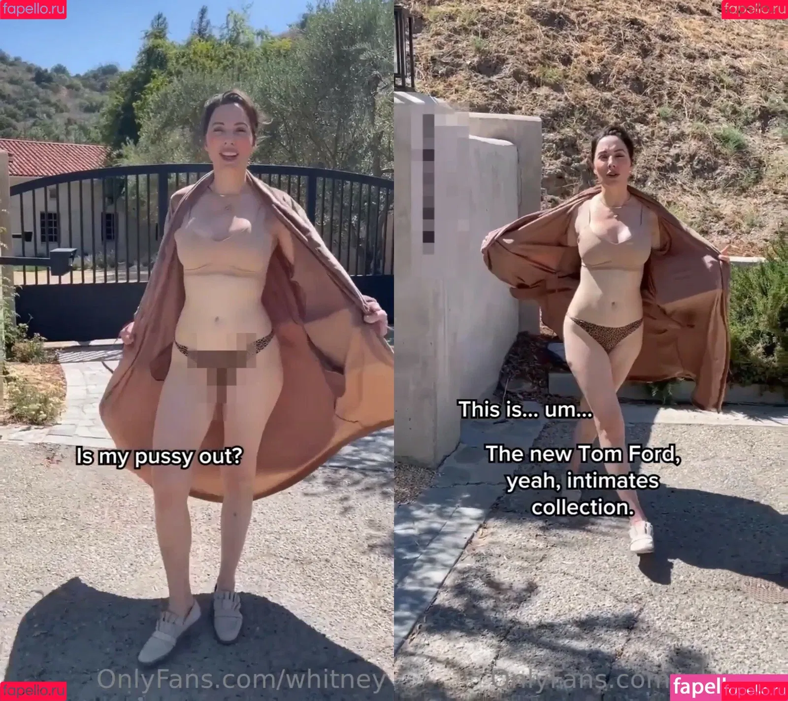 Whitney Cummings Onlyfans Photo Gallery 