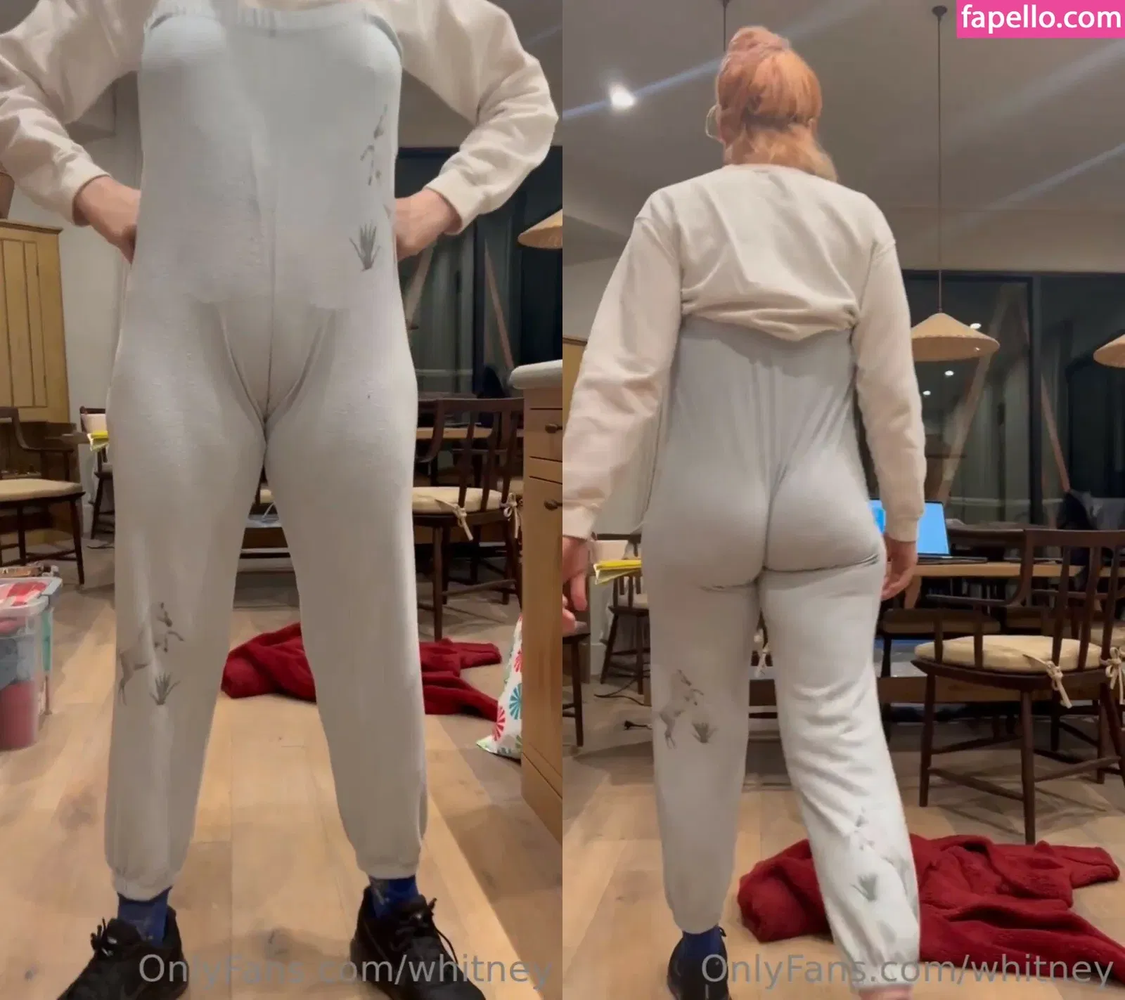 Whitney Cummings Onlyfans Photo Gallery 