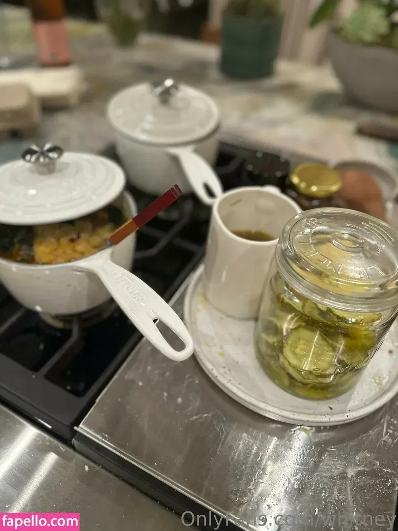 Whitney Cummings Onlyfans Photo Gallery 