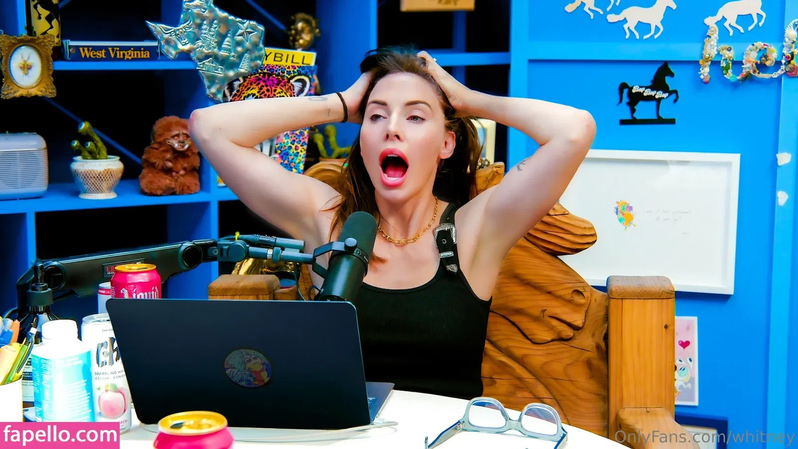 Whitney Cummings Onlyfans Photo Gallery 