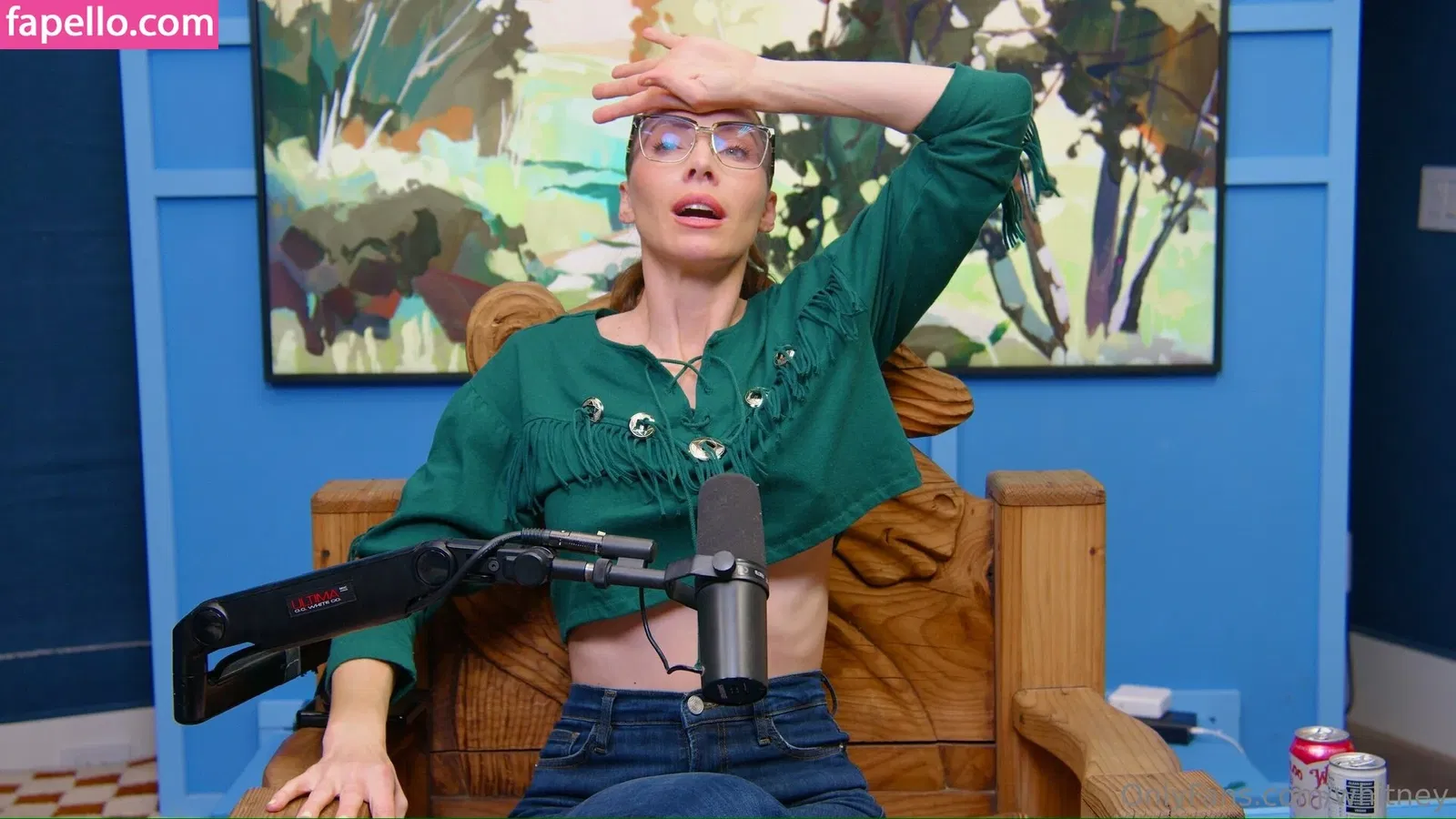 Whitney Cummings Onlyfans Photo Gallery 