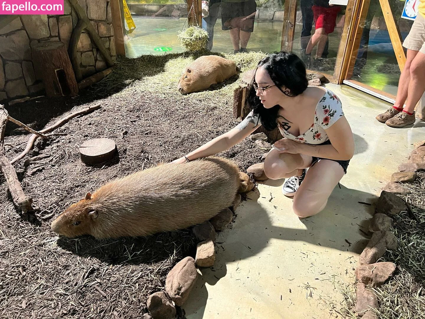 Amberthevalkyrie Onlyfans Photo Gallery 