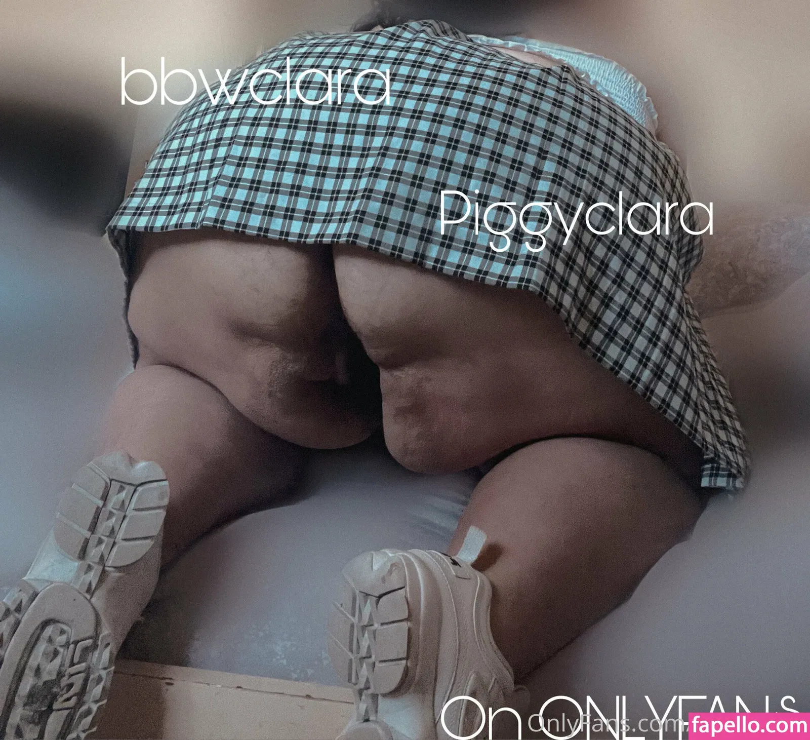 piggyclara Onlyfans Photo Gallery 