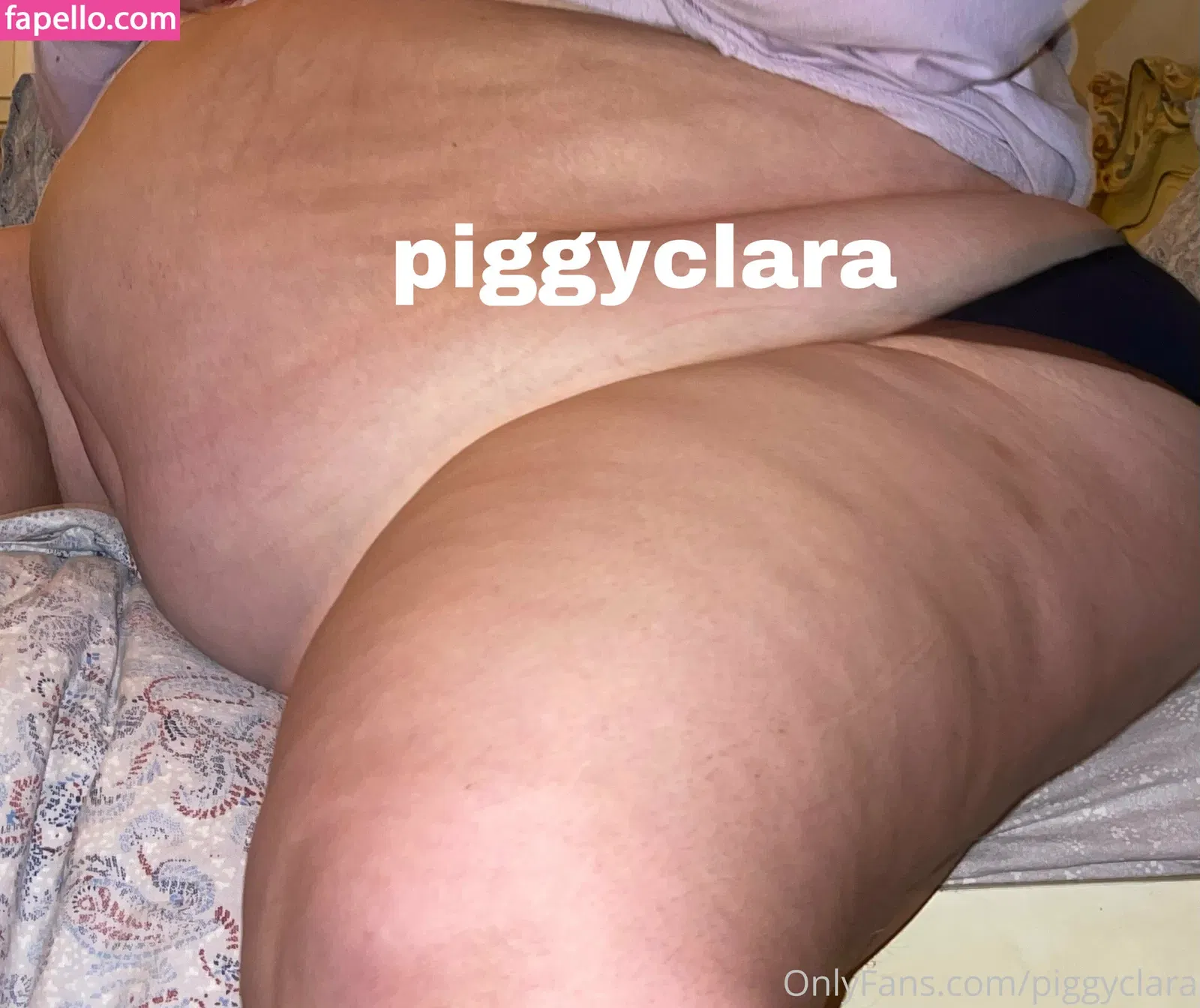 piggyclara Onlyfans Photo Gallery 