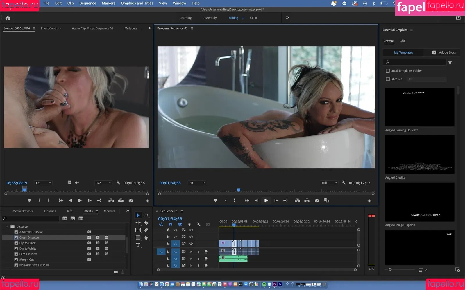 Stormy Daniels Onlyfans Photo Gallery 