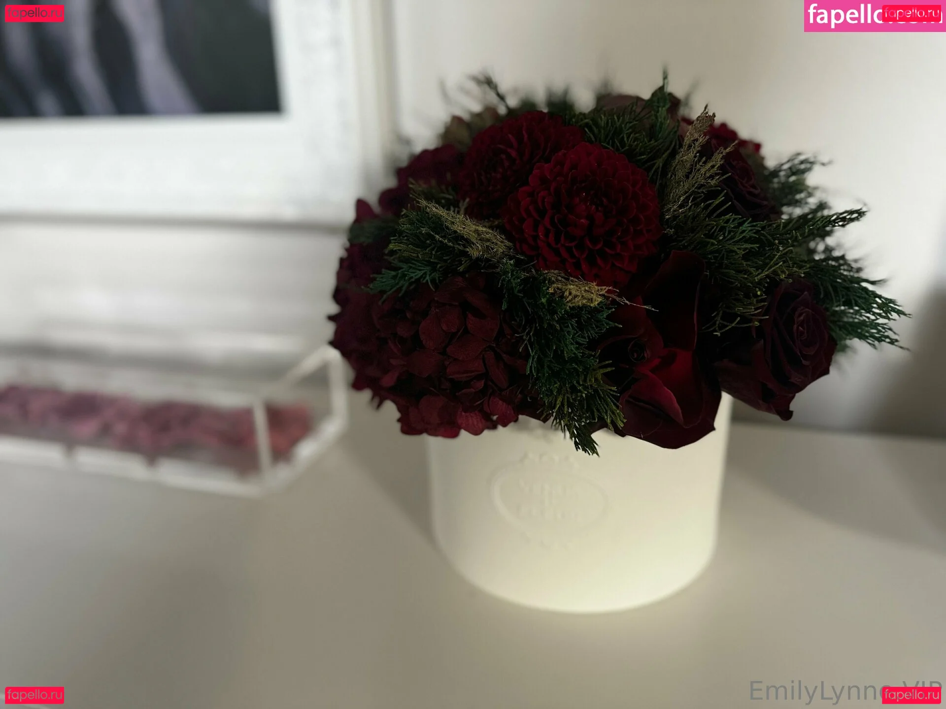 EmilyLynne Onlyfans Photo Gallery 