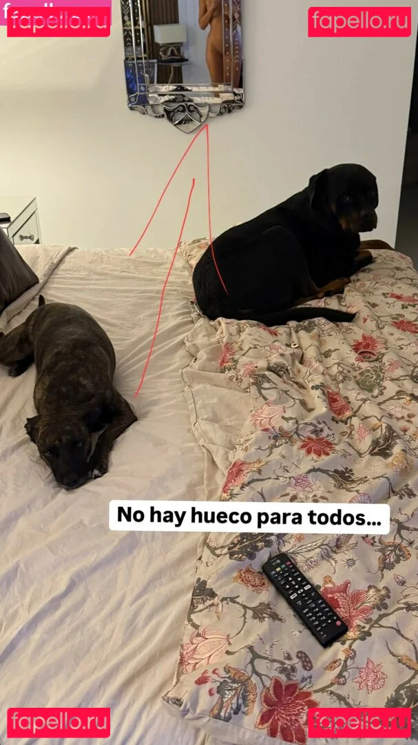 Sofía Suescun Onlyfans Photo Gallery 