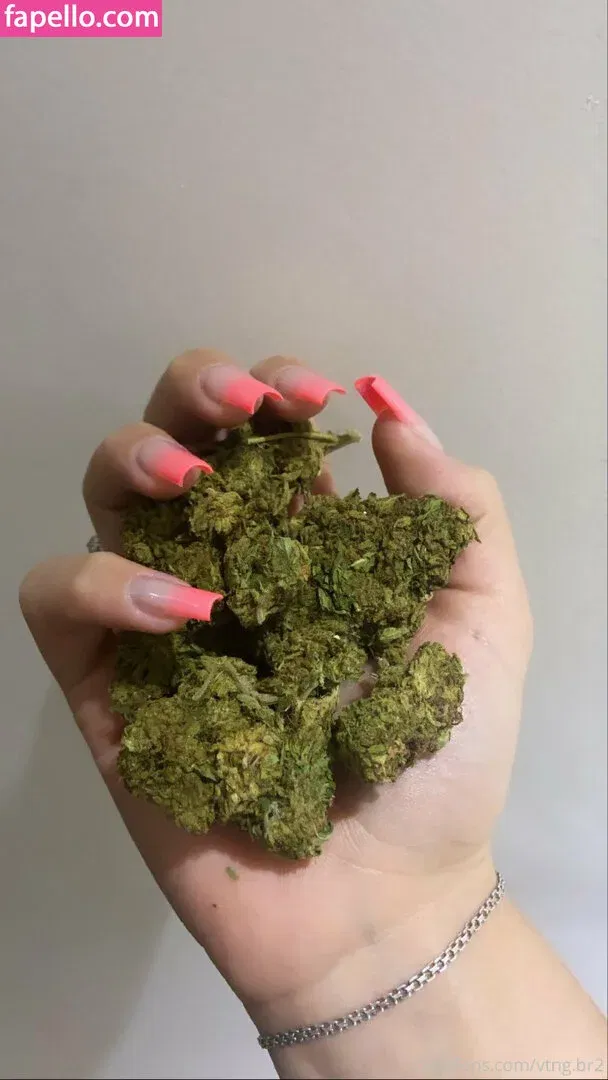 vtng.br2 Onlyfans Photo Gallery 