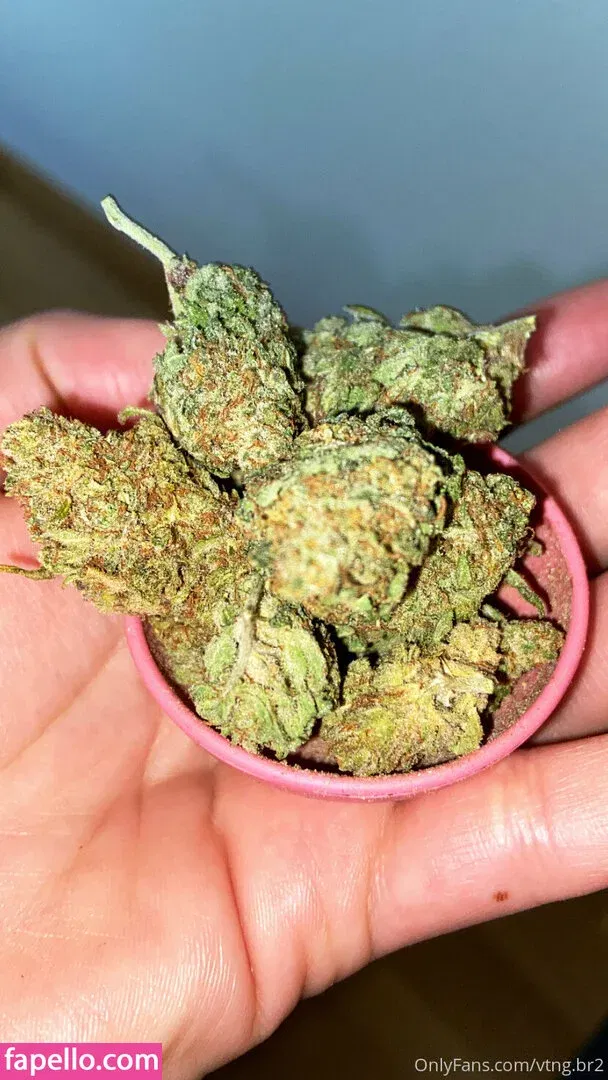 vtng.br2 Onlyfans Photo Gallery 