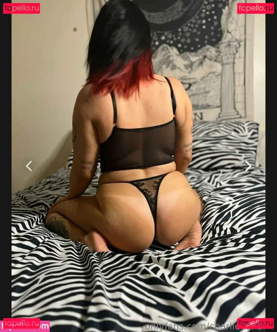 Charli Evans Onlyfans Photo Gallery 