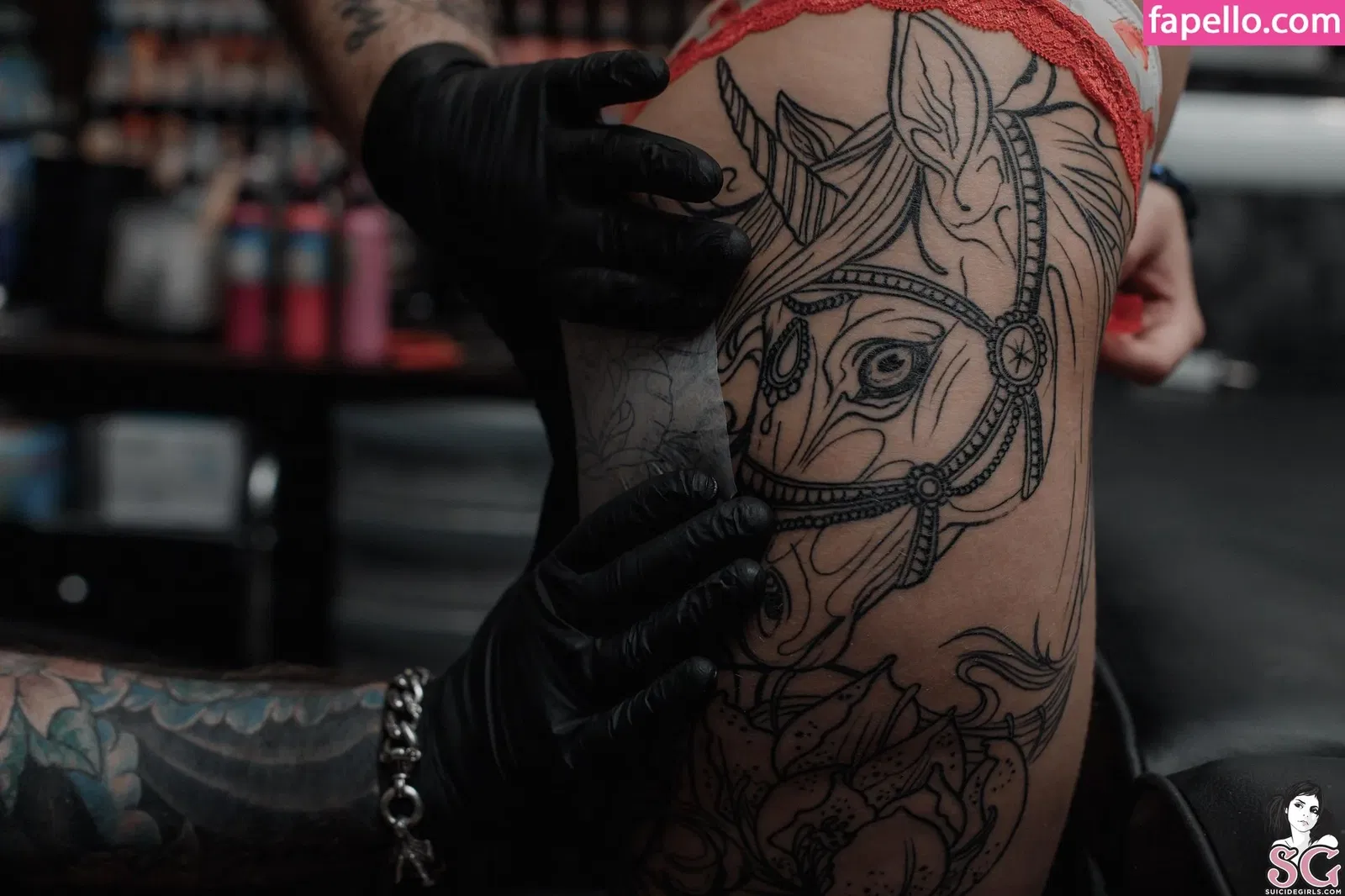 Elisarose Onlyfans Photo Gallery 