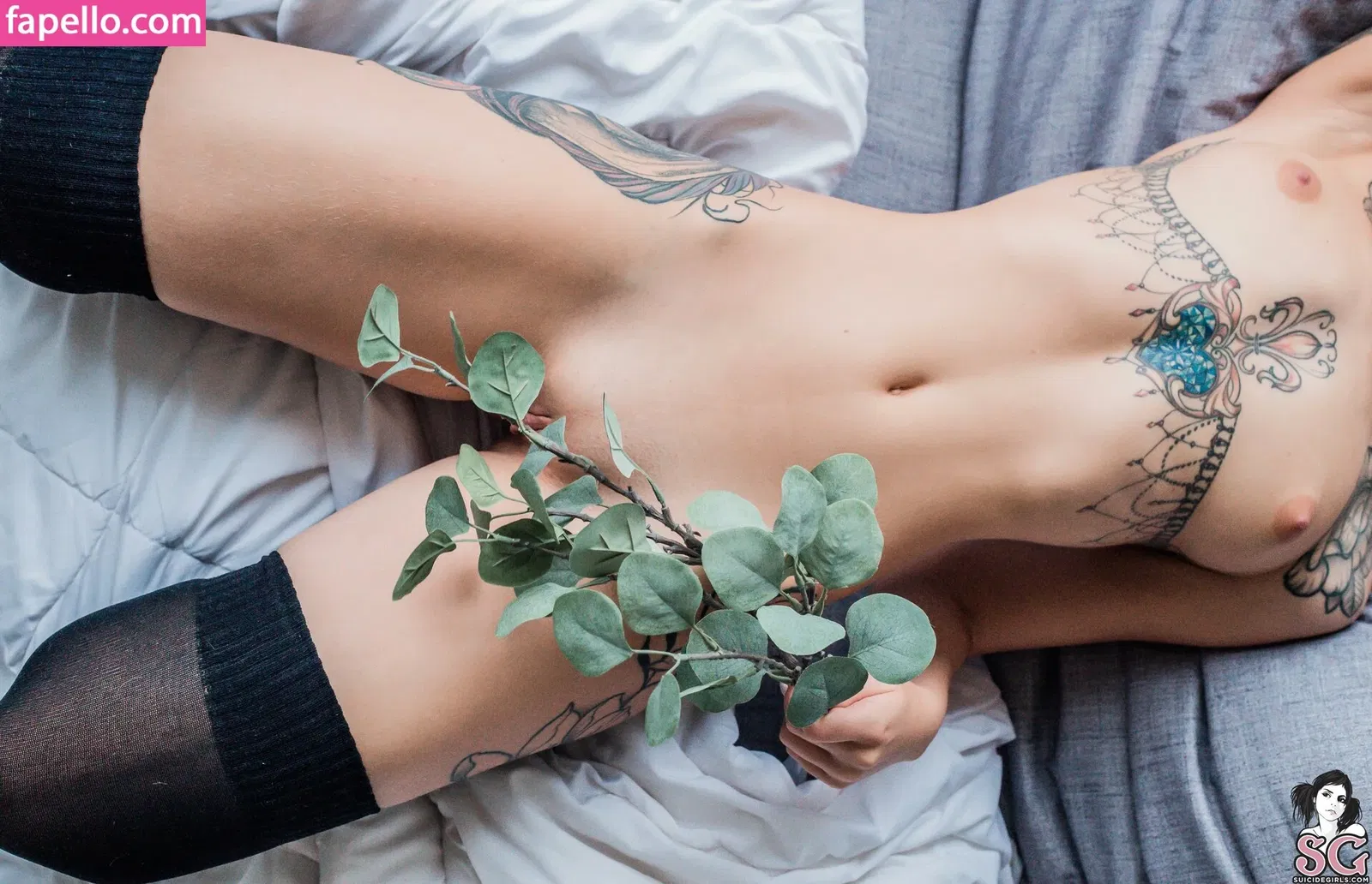 Elisarose Onlyfans Photo Gallery 