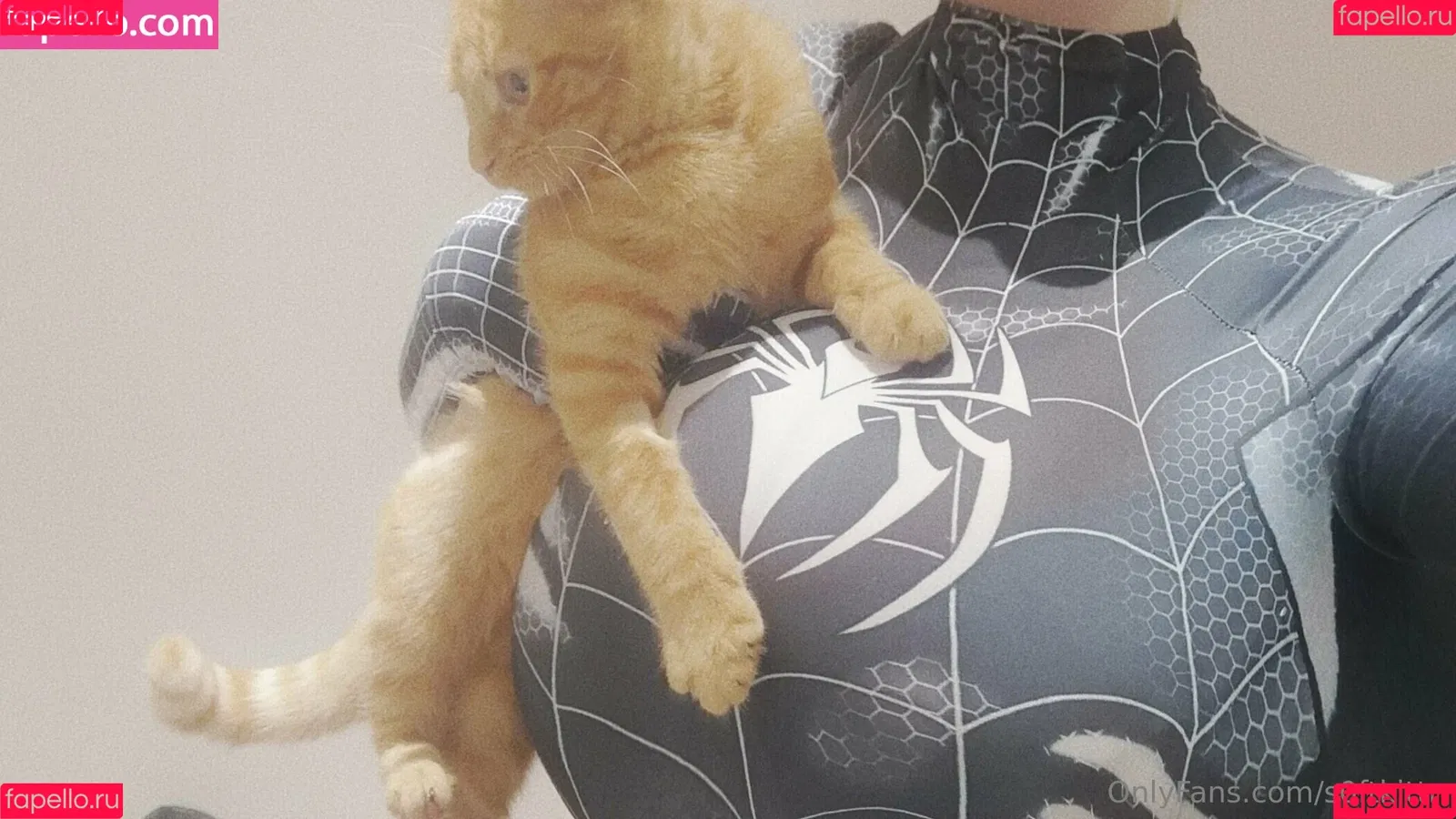 Soft_kittn Onlyfans Photo Gallery 