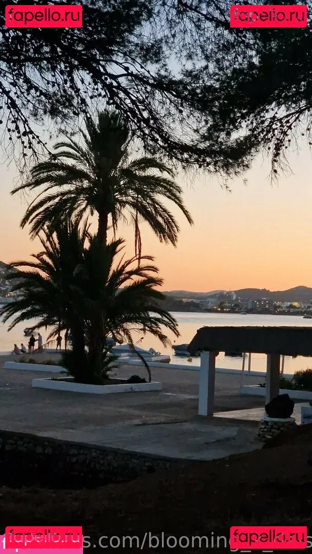 blooming_x_daisy Onlyfans Photo Gallery 