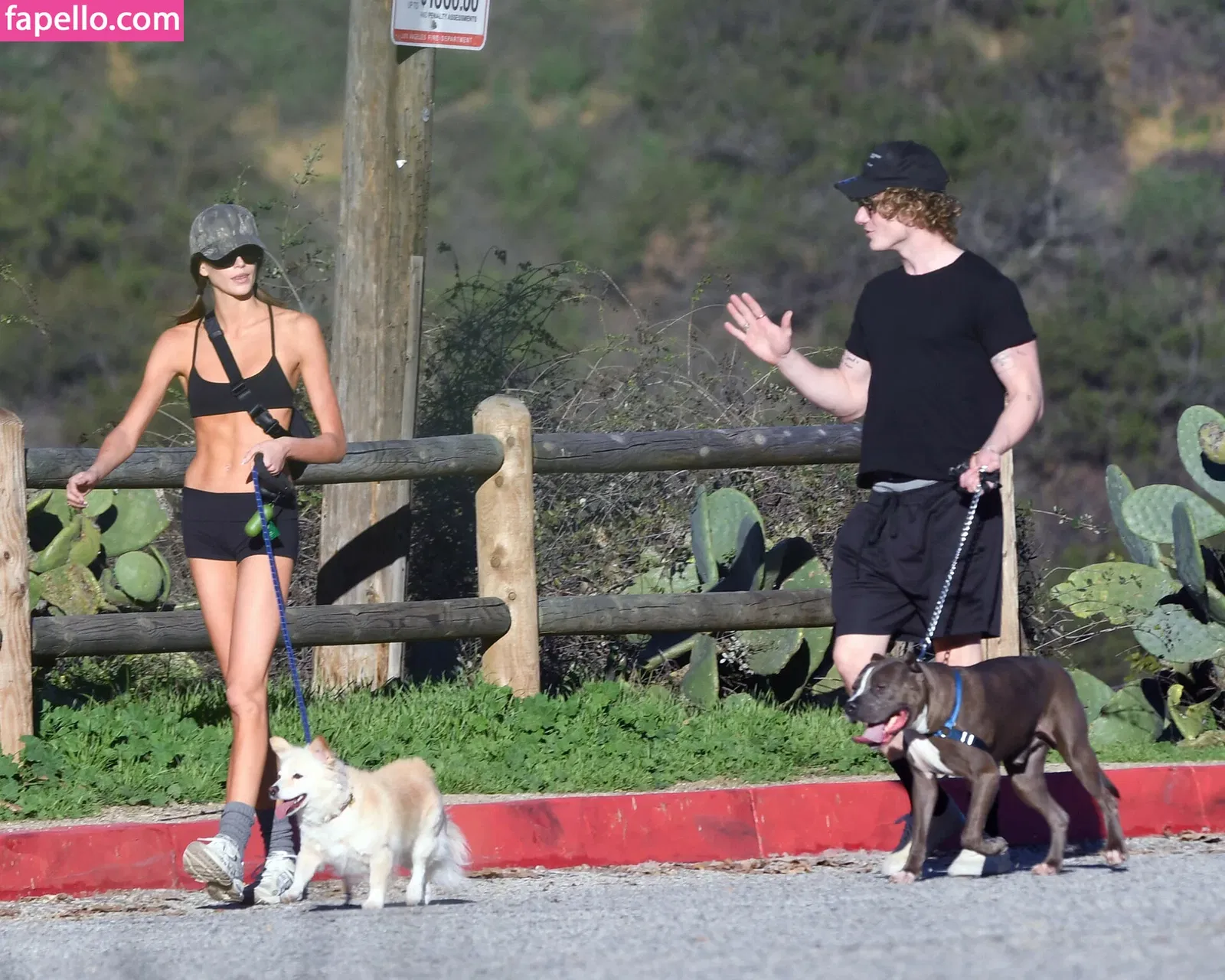 Kaia Gerber Onlyfans Photo Gallery 