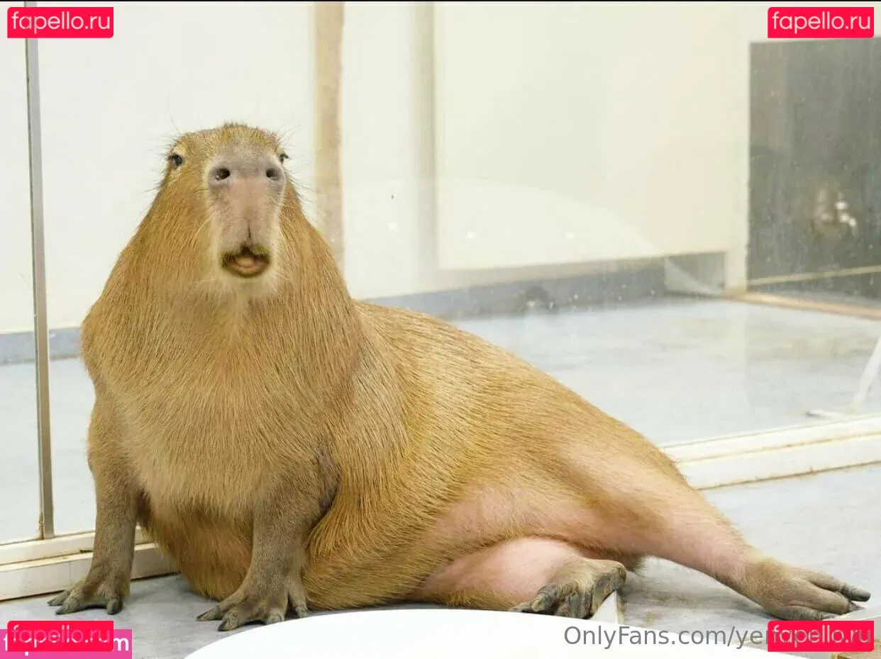 Yunne.uwu Onlyfans Photo Gallery 