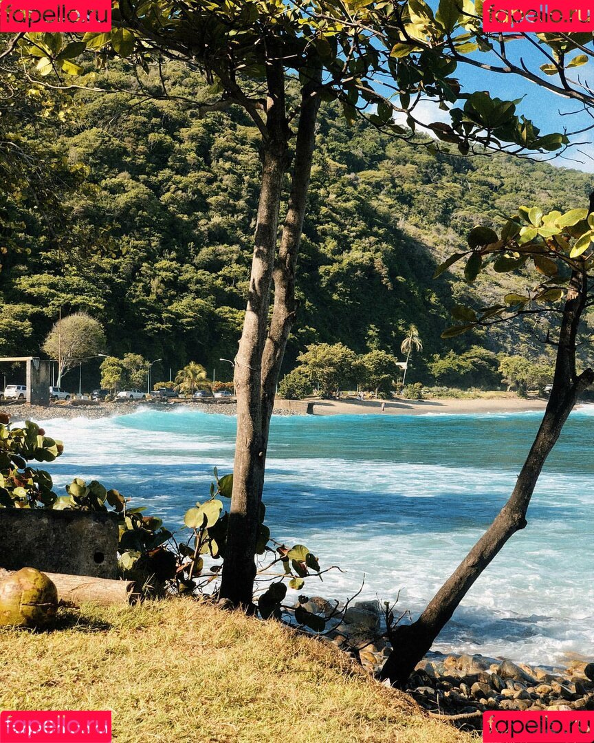 Daniworld Onlyfans Photo Gallery 