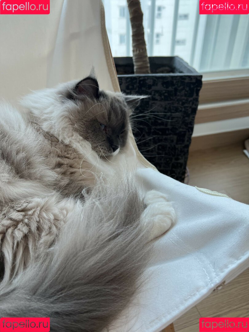 hinachan01 Onlyfans Photo Gallery 